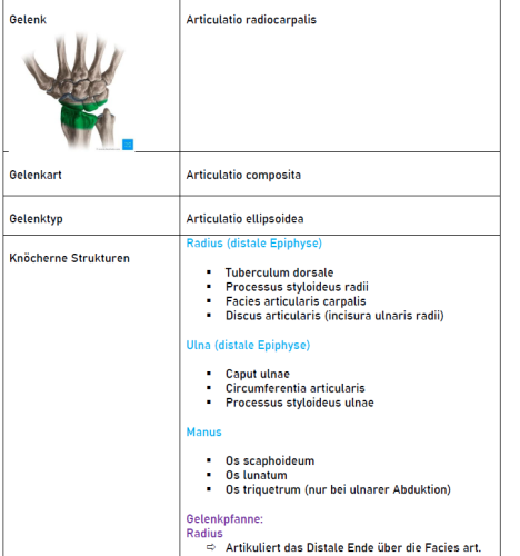 Mehr Informationen zu "Gelenktabelle des Handgelenks/Vortrag"