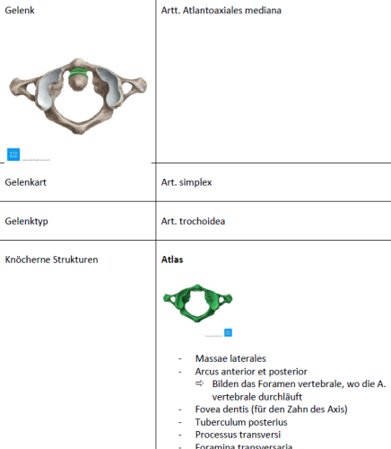 Mehr Informationen zu "Gelenktabelle des Art Atlantoaxialis medialis und laterales"