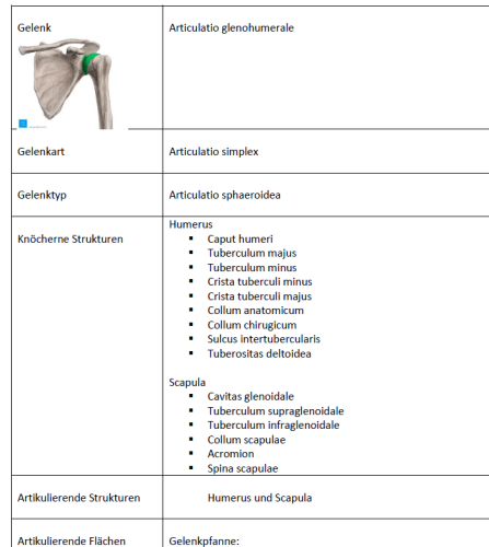 Mehr Informationen zu "Gelenktabelle des Schultergelenks/Vortrag"